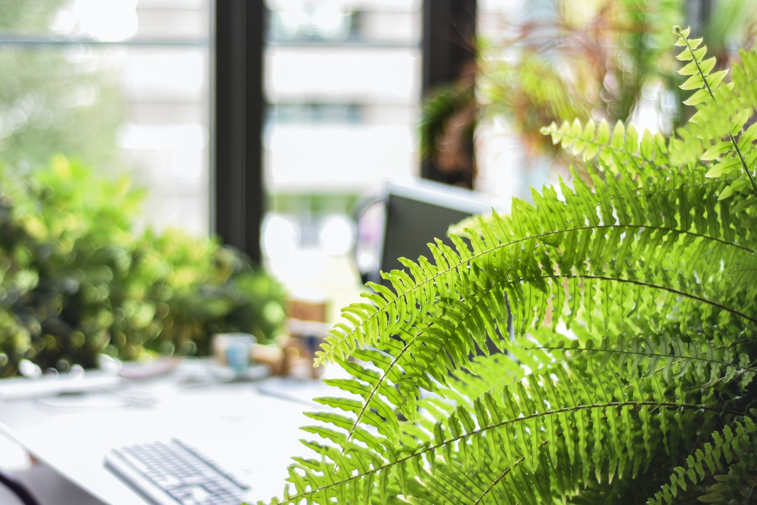 La nouvelle Loi Santé au Travail en un clin d’oeil