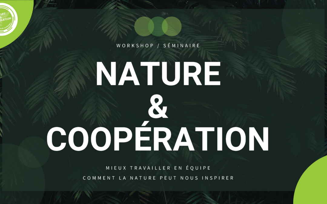 Nature & Coopération : comment la nature peut inspirer le travail en équipe ?
